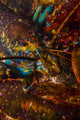 American Lobster Poster Print by Jennifer Idol - Marine Life Art