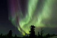 Aurora Borealis over Fish Lake in Whitehorse, Yukon Poster Print by Joseph Bradley