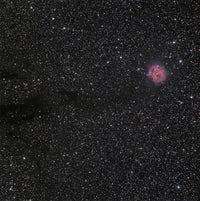 Cocoon Nebula (IC 5146) and Sh 2-125 Poster Print