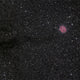 Cocoon Nebula (IC 5146) and Sh 2-125 Poster Print