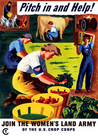 http://c328301.r1.cf1.rackcdn.com/PSTJPA100913MLARGE.jpg
