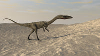 Coelophysis dinosaur walking through a desert environment poster print.