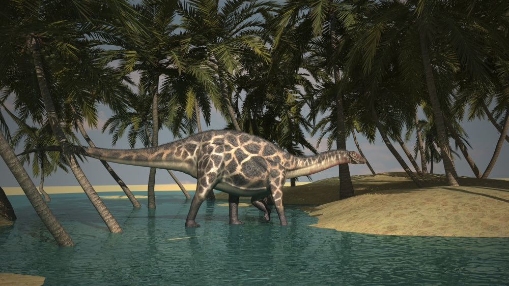Dicraeosaurus grazing in a tropical climate poster print.