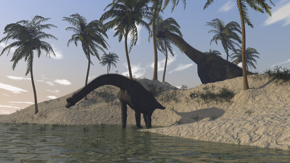 Brachiosaurus grazing along the water's edge poster print