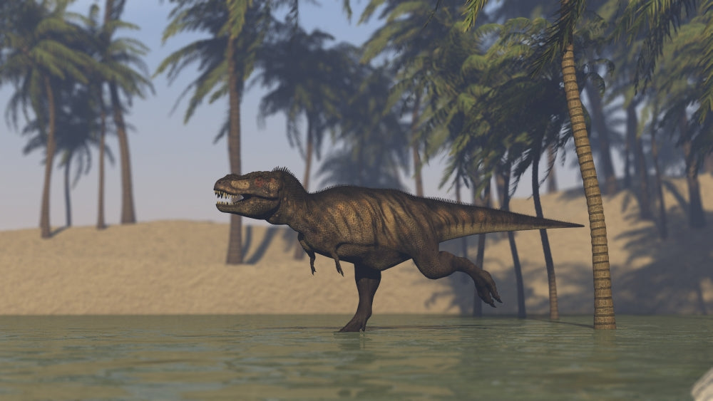 Tyrannosaurus Rex hunting in shallow water poster print.