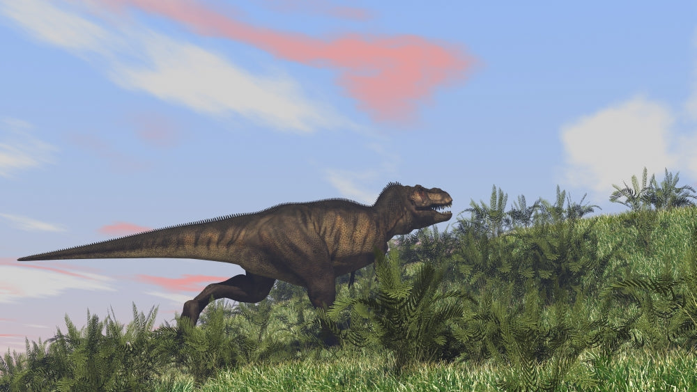 Tyrannosaurus Rex Hunting in an Open Field Poster Print