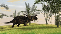 Einiosaurus walking in a field poster print