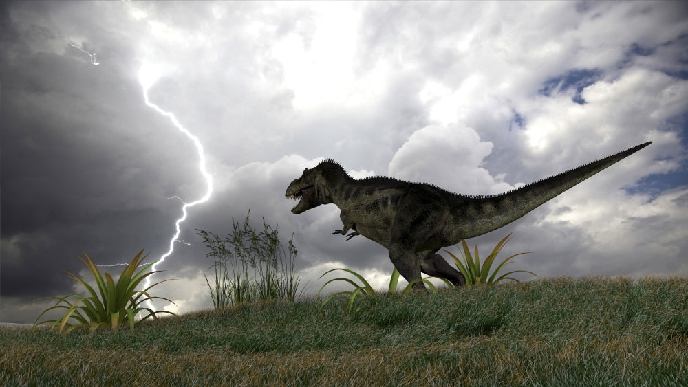 Tyrannosaurus Rex hunting in an open field during a lightning storm poster print.