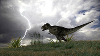 Tyrannosaurus Rex hunting in an open field during a lightning storm poster print.
