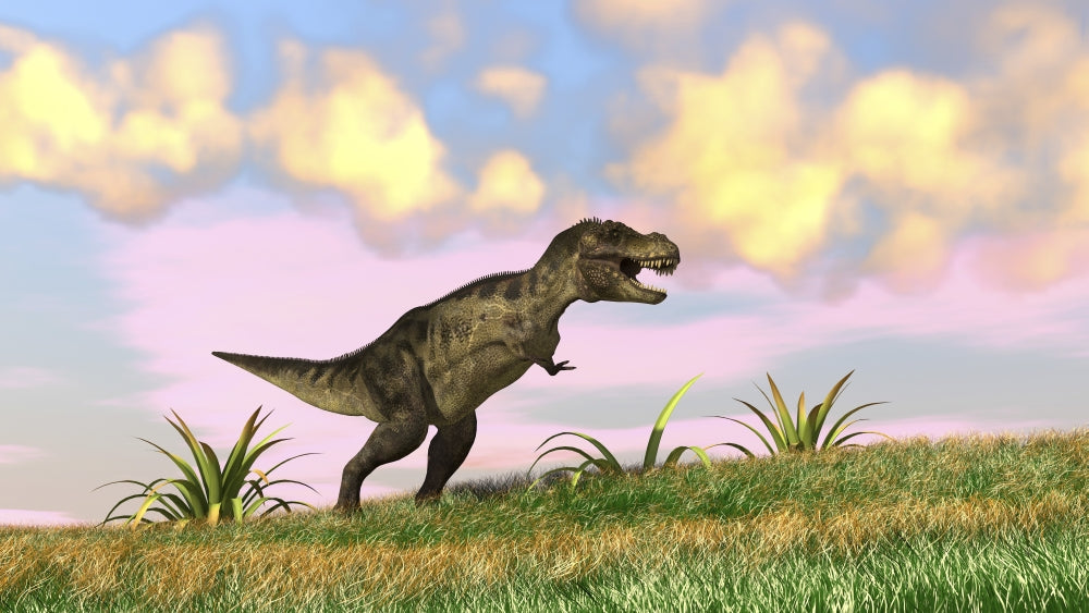 Tyrannosaurus Rex Hunting in an Open Field Poster Print