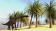 Large Brachiosaurus Grazing Poster Print showcasing a prehistoric scene.