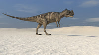 Ceratosaurus walking across a barren landscape poster print