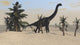 Large Brachiosaurus in a tropical environment poster print
