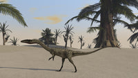 Coelophysis in a desert landscape poster print showcasing a prehistoric dinosaur.