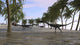 Three Coelophysis running along the shore poster print