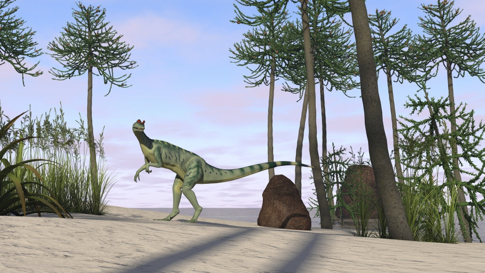 Dilophosaurus hunting for its next meal poster print showcasing vibrant colors and detailed artwork.