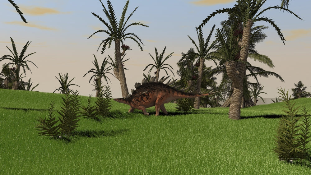 Kentrosaurus walking across an open field poster print.