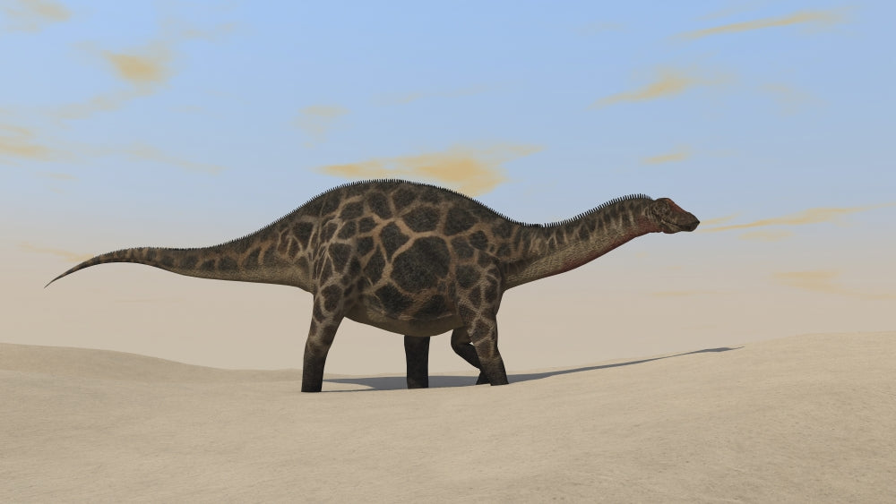 Dicraeosaurus Walking Across a Barren Landscape Poster Print