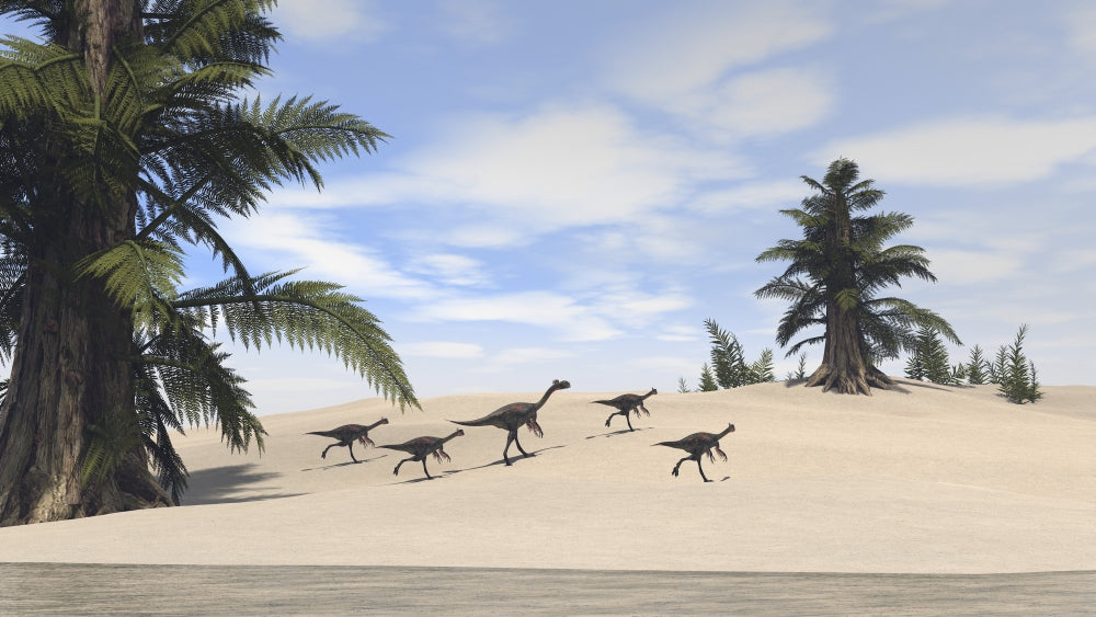 Herd of Gigantoraptors Walking Along the Shore Poster Print