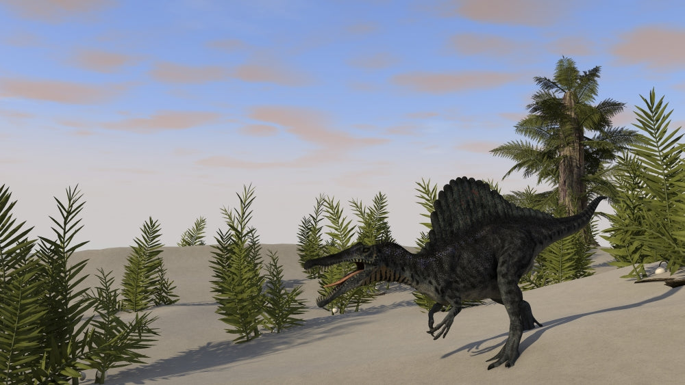Spinosaurus hunting for its next meal poster print