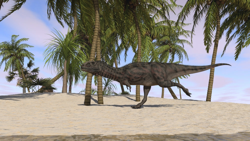 Majungasaurus running across a tropical landscape poster print.