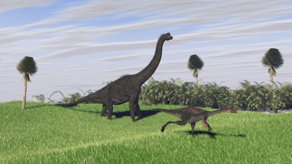 Large Brachiosaurus and Gigantoraptor Dinosaur Poster Print in a grassy field