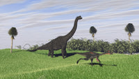 Large Brachiosaurus and Gigantoraptor Dinosaur Poster Print in a grassy field