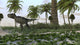 Yyrannosaurus Rex hunting for its next meal poster print.
