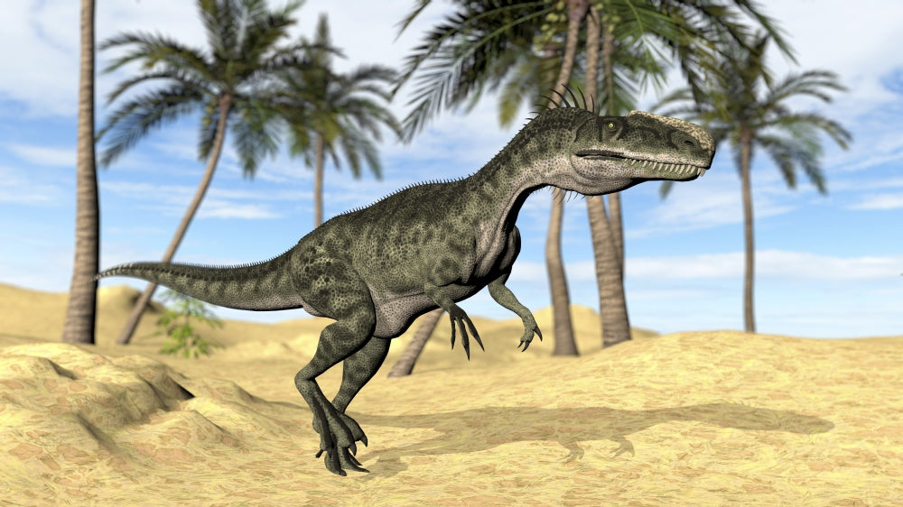 Monolophosaurus Walking Across a Prehistoric Landscape Poster Print