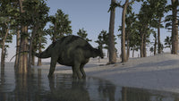 Brachytrachelopan Walking Along Shallow Water Poster Print