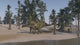 Brachytrachelopan Walking Along the Shoreline Poster Print