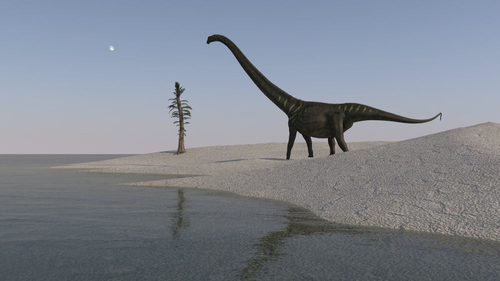 Mamenchisaurus walking along the shoreline poster print