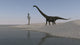 Mamenchisaurus walking along the shoreline poster print