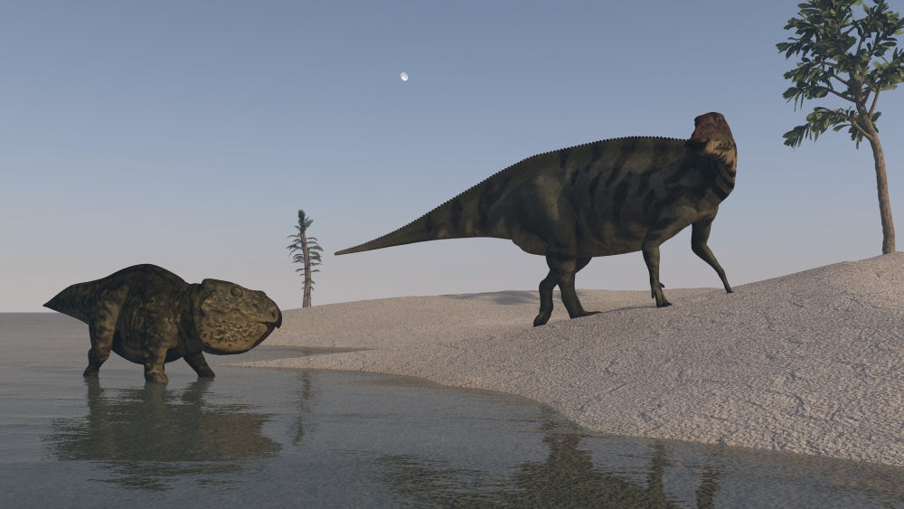 Udanoceratops and Shuangmiaosaurus Shoreline Poster Print