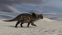 Brown Einiosaurus walking across a desert landscape poster print