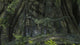 Monolophosaurus in Prehistoric Woodlands Poster Print