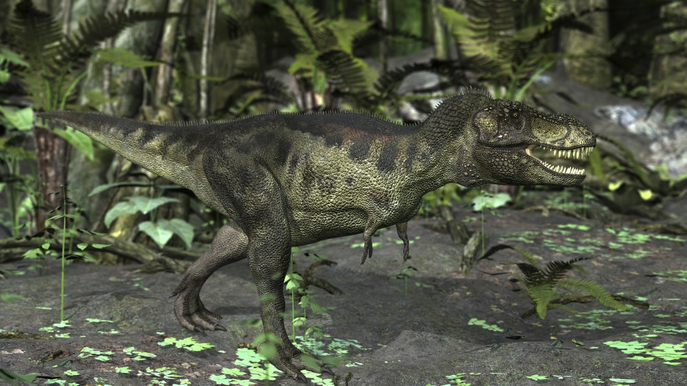 Tyrannosaurus Rex in Prehistoric Woodlands Poster Print