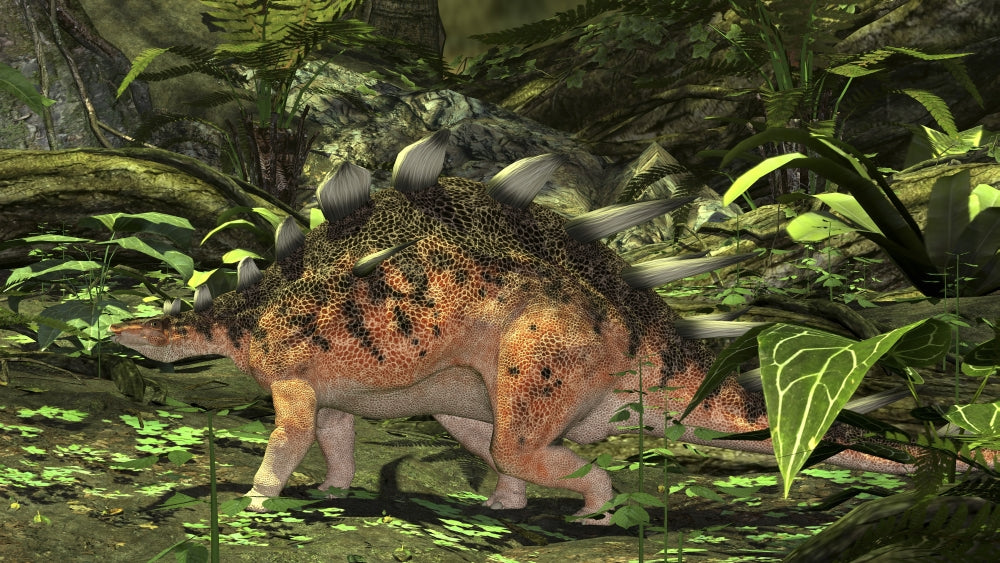 Kentrosaurus in a Prehistoric Forest Poster Print