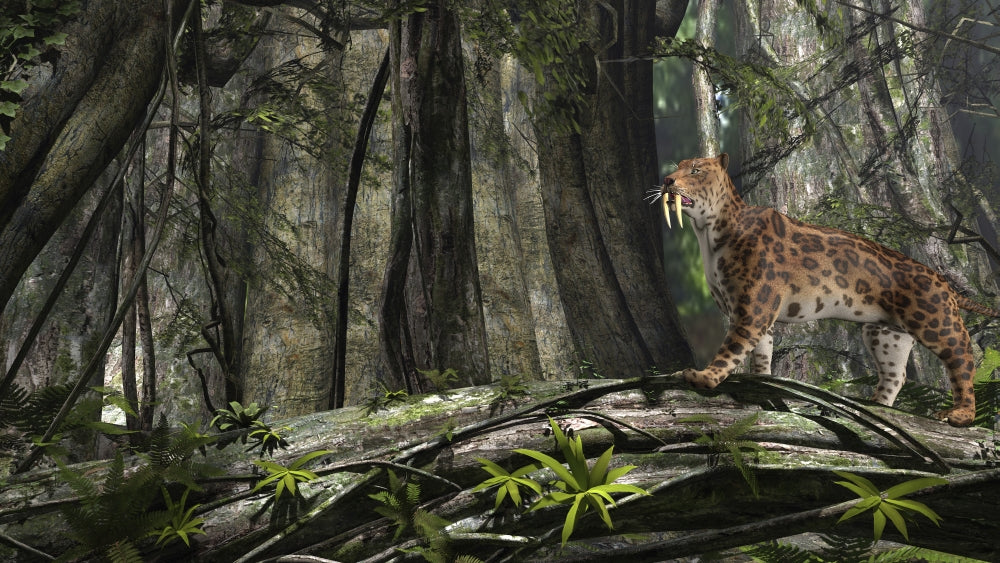 Saber-Toothed Tiger in a Prehistoric Forest Poster Print