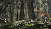Saber-Toothed Tiger in a Prehistoric Forest Poster Print