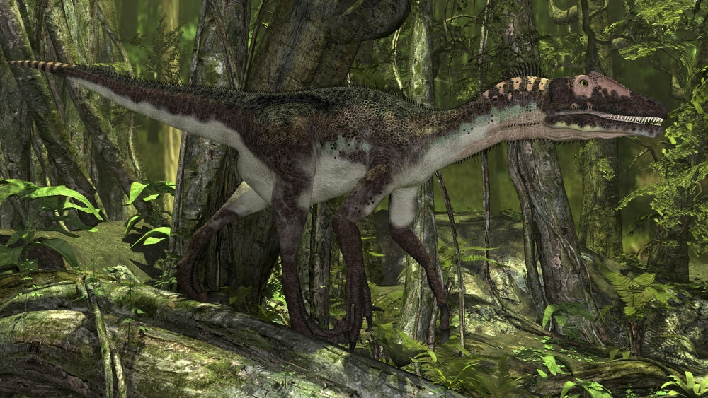 Utahraptor in a prehistoric forest poster print showcasing a dinosaur in nature.