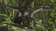 Utahraptor in a prehistoric forest poster print showcasing a dinosaur in nature.