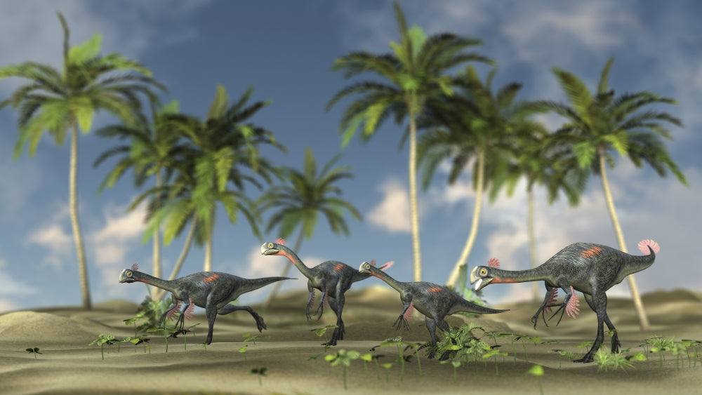 Herd of Gigantoraptors Poster Print featuring dinosaurs in their habitat.