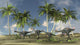 Herd of Gigantoraptors Poster Print featuring dinosaurs in their habitat.