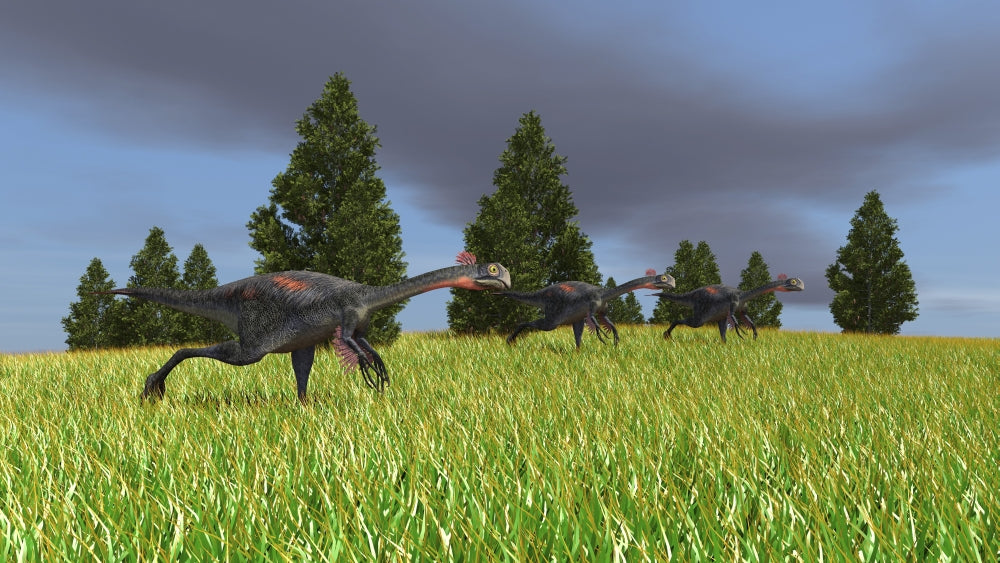 Group of Gigantoraptors Running Across an Open Field Poster Print