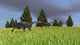 Group of Gigantoraptors Running Across an Open Field Poster Print