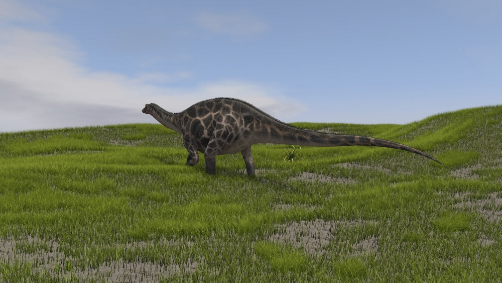Dicraeosaurus walking across a grassy field poster print