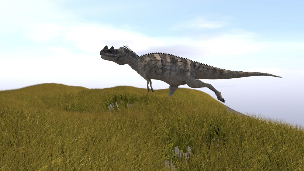 Ceratosaurus running across a grassy field poster print