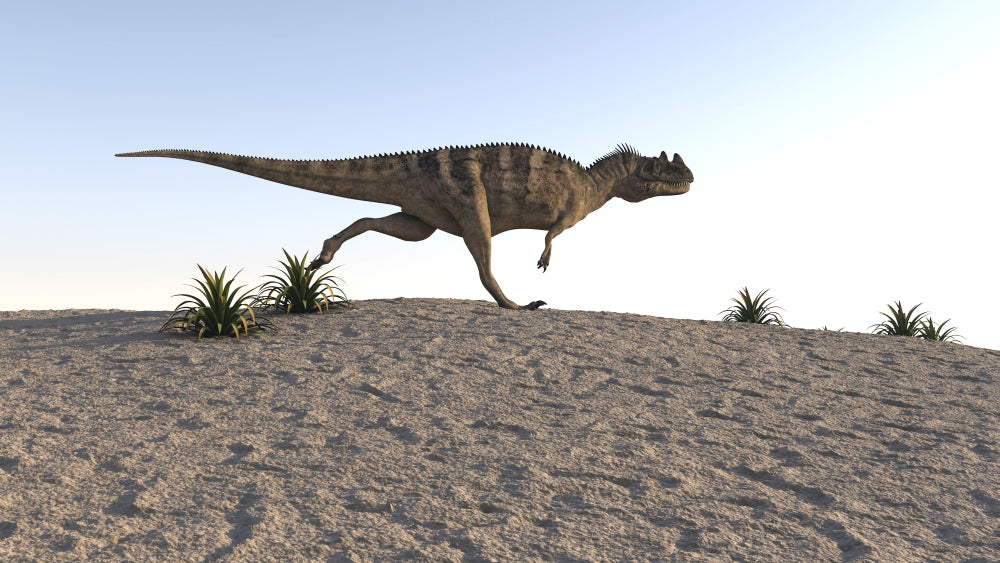 Ceratosaurus running across a barren landscape poster print