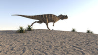 Ceratosaurus running across a barren landscape poster print